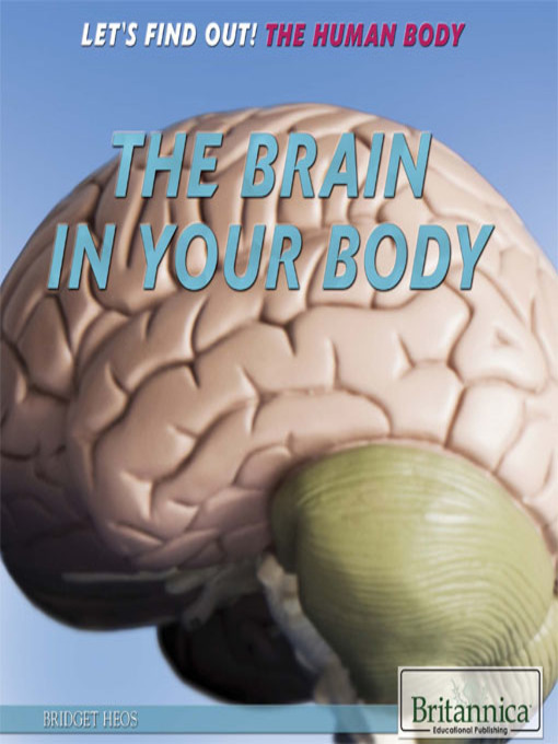 Title details for The Brain in Your Body by Jacob Steinberg - Available